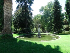 Madrid botanical